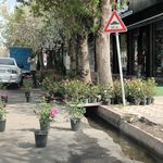 گلفروشی مزرعه گل (زکی)