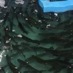 ماهی زنده قزل آلا و سالمون قزل پارک