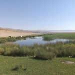 تالاب گندمان