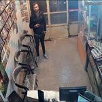 محصولات فرهنگی وحید