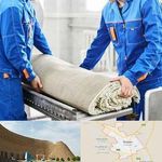 قالیشویی روح الامینی