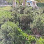 بوستان پرستو