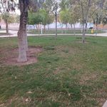 بوستان فدک