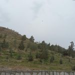 بوستان ستاره