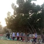 بوستان شادی