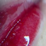 آرایش دائم غزال