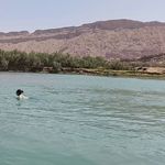 آموزش شنا با ثنا اهرابی