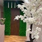 روانشناس کودک / درمانگر اختلال یادگیری اسدی