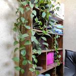نوبت‌دهی آسان هادی منسوبی، روانشناس، مشاور خانواده و روان درمانگر فردی قم - قم - 0028