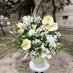 گل فروشی آندیا (شعبه یک)