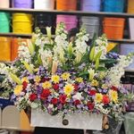 گلفروشی گل گندم آمل