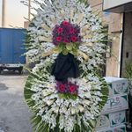 گل فروشی دنیز (آنلاین) -ارسال فوری