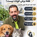 کلینیک حیوانات خانگی شوکا
