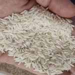 برنج انتظاری