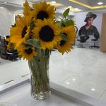 سالن زیبایی معصوم