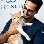 بستری و پانسیون حیوانات وت‌نست