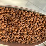 عمده فروشی قهوه راد