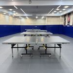 آکادمی پینگ پنگ آرپ