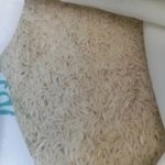 خوشپخت ترین برنج های ایرانی طارم