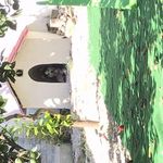 کلینیک دامپزشکی رویان