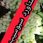 کودارگانیک سبوسیب یاکروا