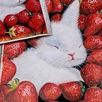 آموزشگاه هنری شاهکار