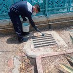 سمپاشی نگین بهداشت یزد