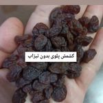 تاجرکشمش شرکت تجاری وینتا
