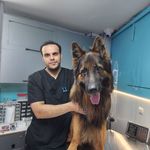 کلینیک تخصصی دامپزشکی لیام