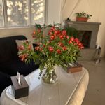 کلینیک روان پزشکی و روان شناسی پل امید