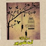 کتاب فاتحان آمنه نقدی پور