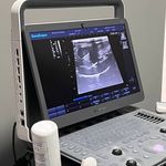 بیمارستان دامپزشکی شبانه روزی درنیکا