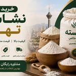 نشاسته دردانه