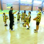 باشگاه والیبال ققنوس