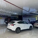 تشخیص رنگ وکارشناسی رنگ خودرو الهایی