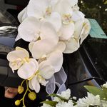 گالری ماهنیز