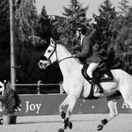 باشگاه سوارکاری کوروش