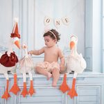 آتلیه عکاسی کودک و بارداری آبان