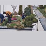 طراحی و احداث و نگهداری فضای سبز