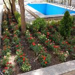 خدمات درختکاری و باغبانی