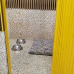 پانسیون پودی بهشت حیوانات خانگی