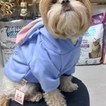 پت شاپ سزار