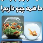 آکواریوم سان فیش