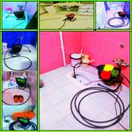 لوله باز کنی رفیعی