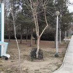 بوستان گلبرگ