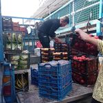 بازار میوه و تره بار قائم