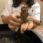 دکتر رواشناس اورکی مرکز مشاوره یاسمن