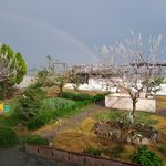 مزرعه پرورش ماهی یلدا