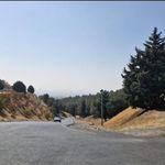 بوستان جنگلی یاس فاطمی
