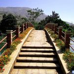 پارک جنگلی جهان نما